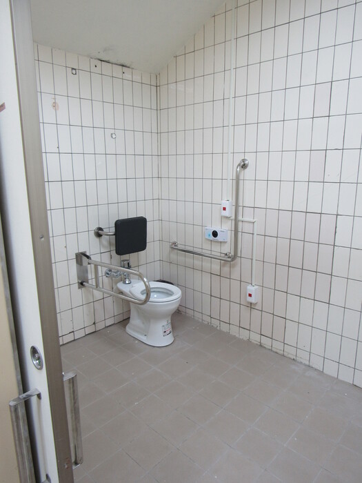 Gender-neutral accessible restroom (1F)圖片