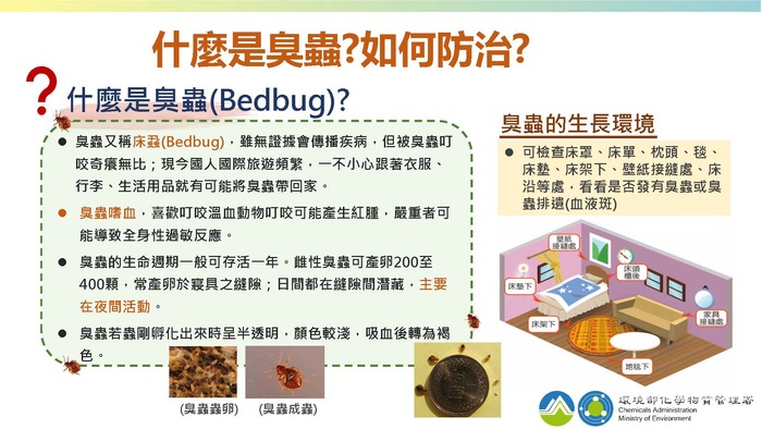 疫情趨緩出國旅遊，小心臭蟲來掃興!圖片