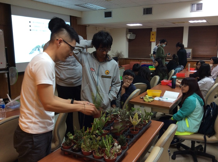 生涯手作工作坊-多肉植物圖片