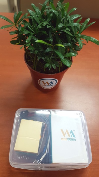 生涯手作工作坊-與植物說話圖片