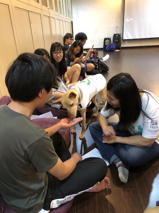狗醫生出外景活動圖片